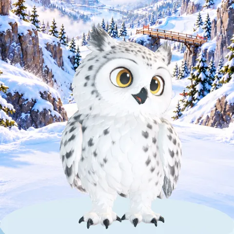 Snowy Owl